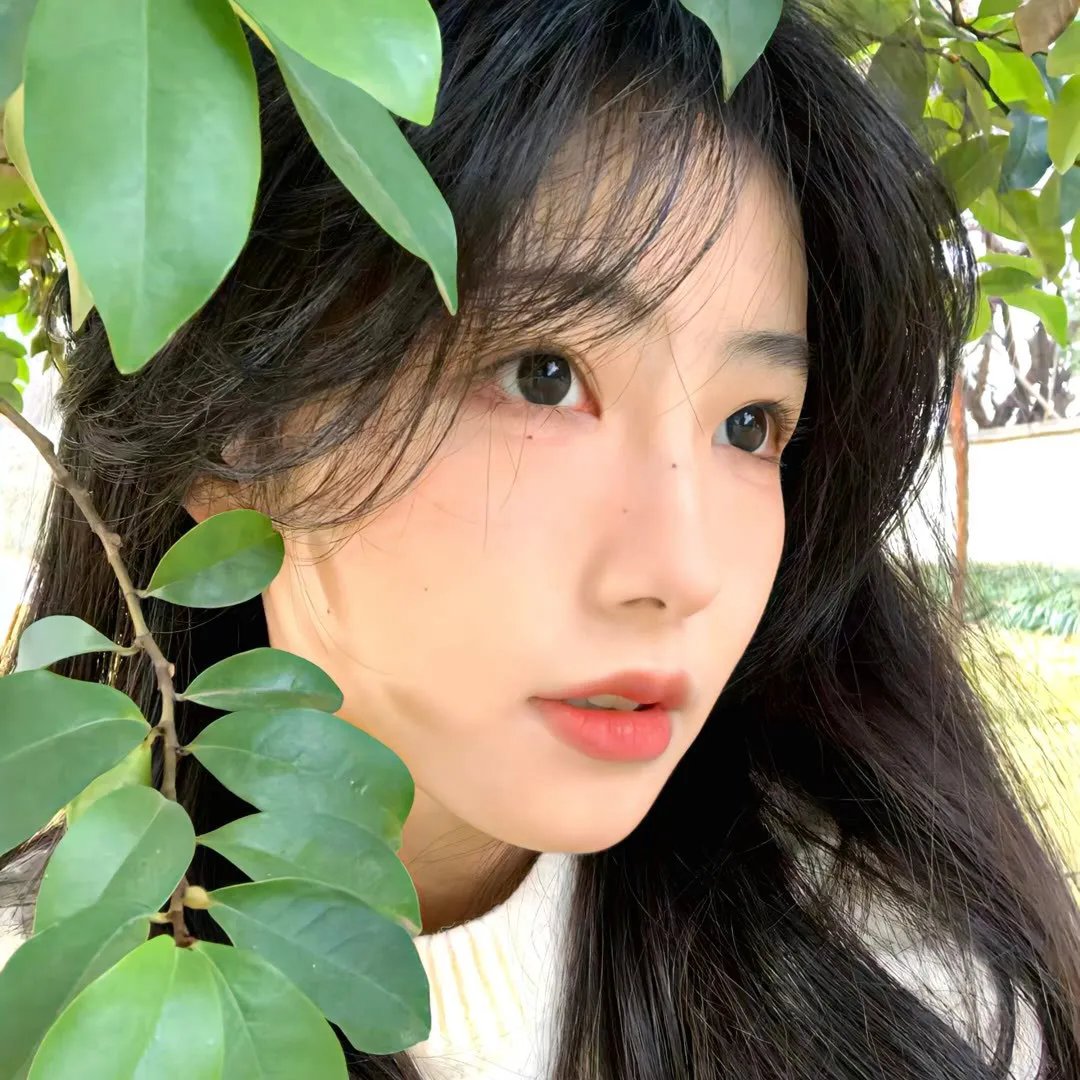 狂欢节